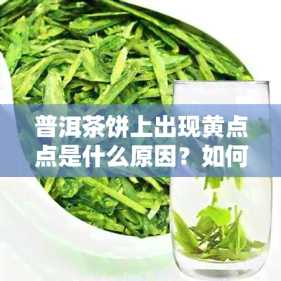 普洱茶饼上出现黄点点是什么原因？如何解决这个问题？