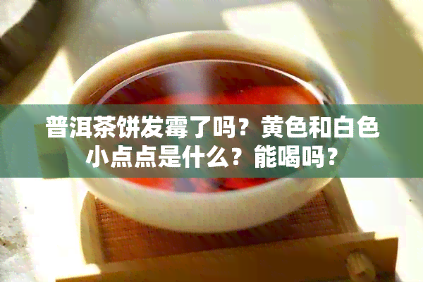 普洱茶饼发霉了吗？黄色和白色小点点是什么？能喝吗？