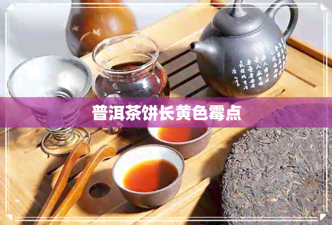 普洱茶饼长黄色霉点