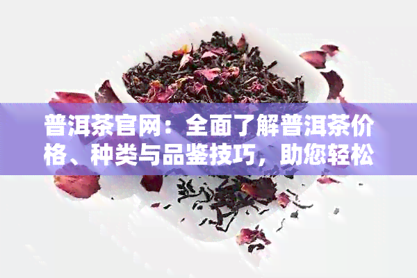 普洱茶官网：全面了解普洱茶价格、种类与品鉴技巧，助您轻松选购正品茶叶