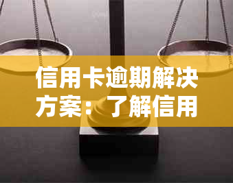 信用卡逾期解决方案：了解信用宝短信提醒，如何处理信用问题并避免逾期风险