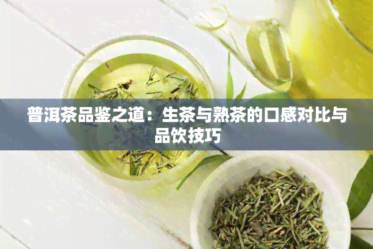 普洱茶品鉴之道：生茶与熟茶的口感对比与品饮技巧