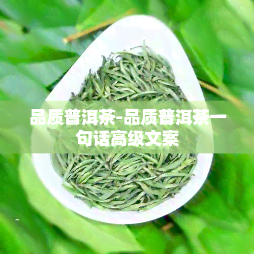 品质普洱茶-品质普洱茶一句话高级文案