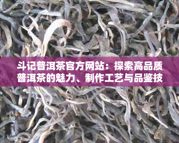 斗记普洱茶官方网站：探索高品质普洱茶的魅力、制作工艺与品鉴技巧