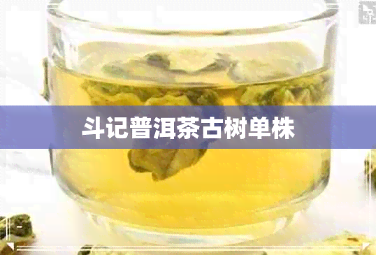 斗记普洱茶古树单株