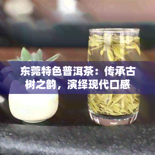 东莞特色普洱茶：传承古树之韵，演绎现代口感