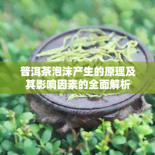 普洱茶泡沫产生的原理及其影响因素的全面解析