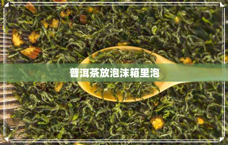 普洱茶放泡沫箱里泡