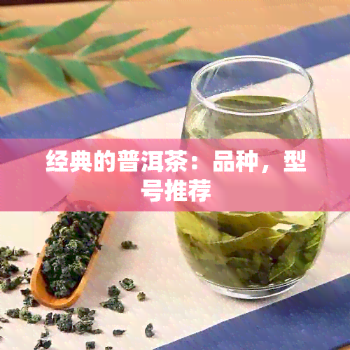 经典的普洱茶：品种，型号推荐