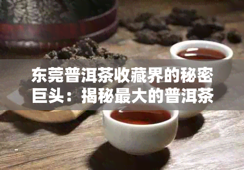 东莞普洱茶收藏界的秘密巨头：揭秘更大的普洱茶藏家