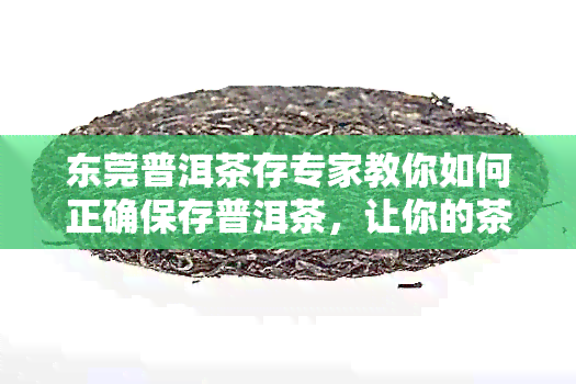 东莞普洱茶存专家教你如何正确保存普洱茶，让你的茶叶保持品质和风味