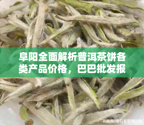 阜阳全面解析普洱茶饼各类产品价格，巴巴批发报价一目了然