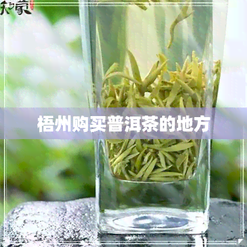 梧州购买普洱茶的地方