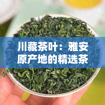 川藏茶叶：雅安原产地的精选茶品，品味藏地独特风味