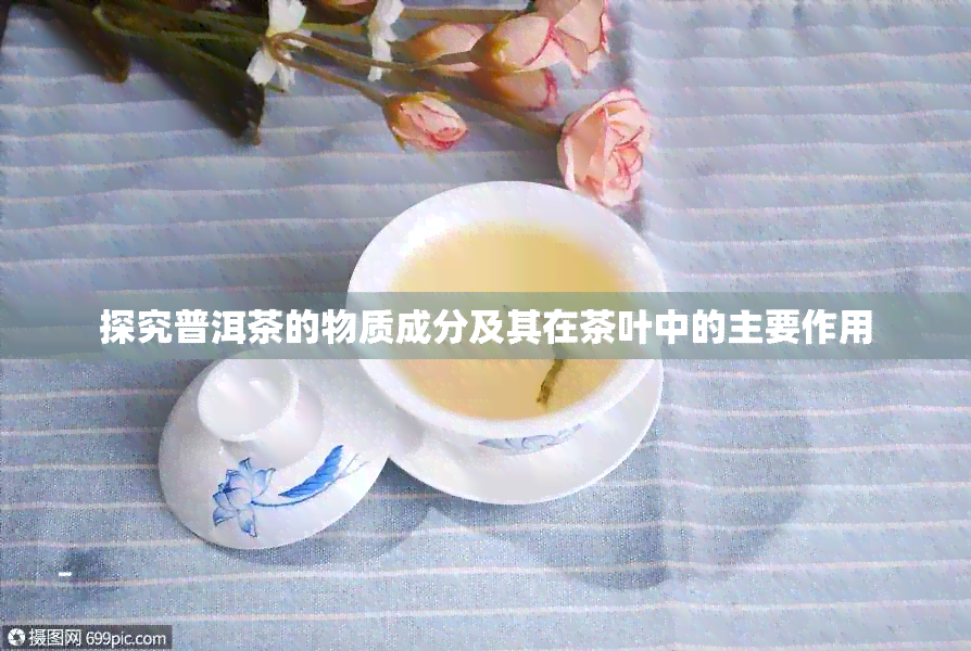 探究普洱茶的物质成分及其在茶叶中的主要作用