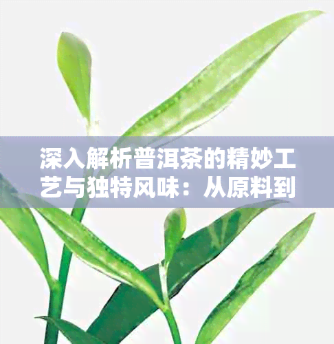 深入解析普洱茶的精妙工艺与独特风味：从原料到成品的全过程