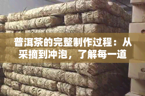 普洱茶的完整制作过程：从采摘到冲泡，了解每一道工序的重要性与技巧