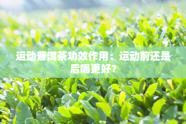 运动普洱茶功效作用：运动前还是后喝更好？