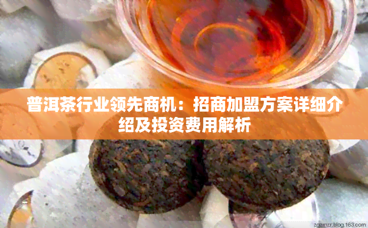 普洱茶行业领先商机：招商加盟方案详细介绍及投资费用解析