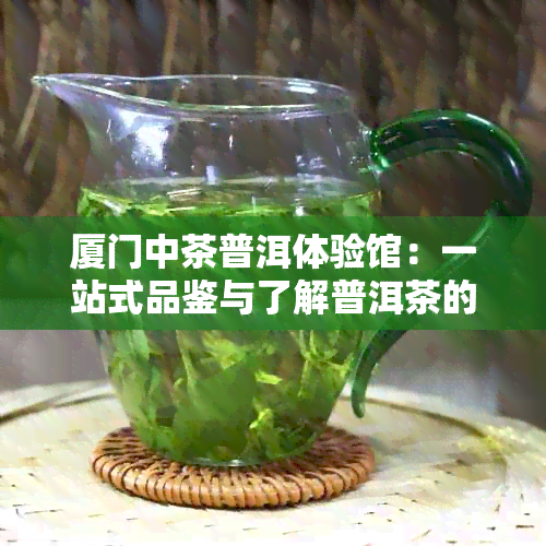 厦门中茶普洱体验馆：一站式品鉴与了解普洱茶的完美之地