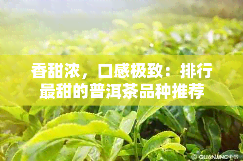 香甜浓，口感极致：排行最甜的普洱茶品种推荐