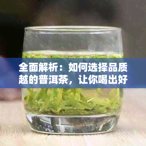 全面解析：如何选择品质越的普洱茶，让你喝出好茶的关键要素是什么？