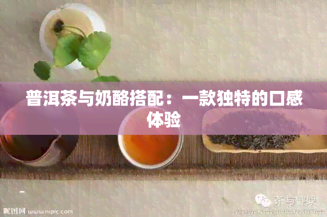 普洱茶与奶酪搭配：一款独特的口感体验