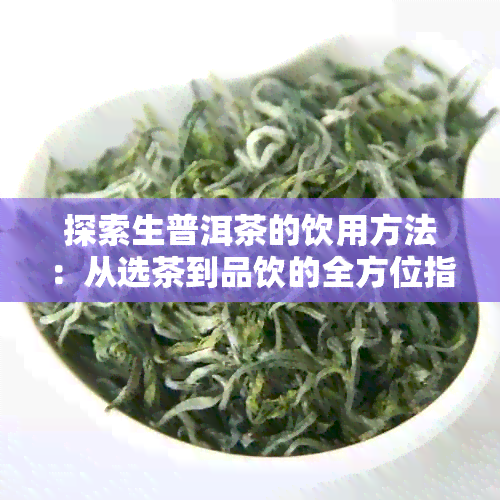 探索生普洱茶的饮用方法：从选茶到品饮的全方位指南