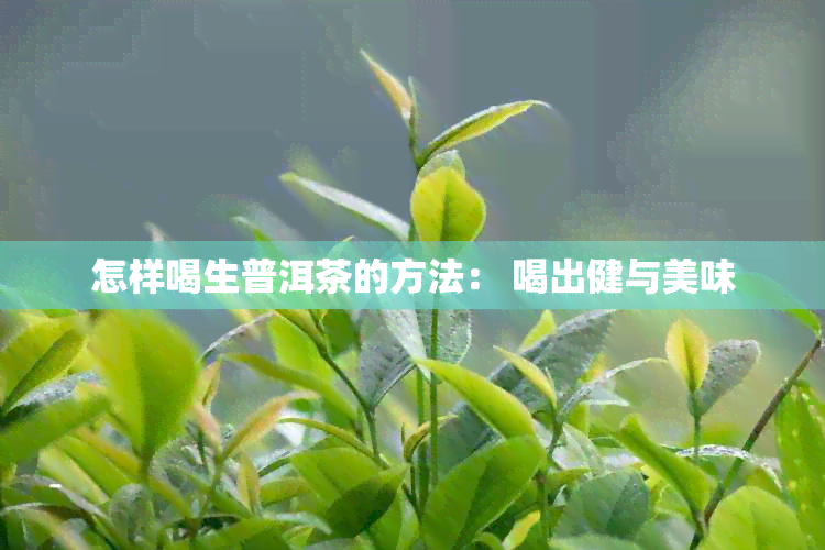 怎样喝生普洱茶的方法： 喝出健与美味