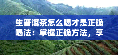 生普洱茶怎么喝才是正确喝法：掌握正确方法，享受健效益