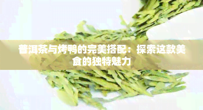 普洱茶与烤鸭的完美搭配：探索这款美食的独特魅力