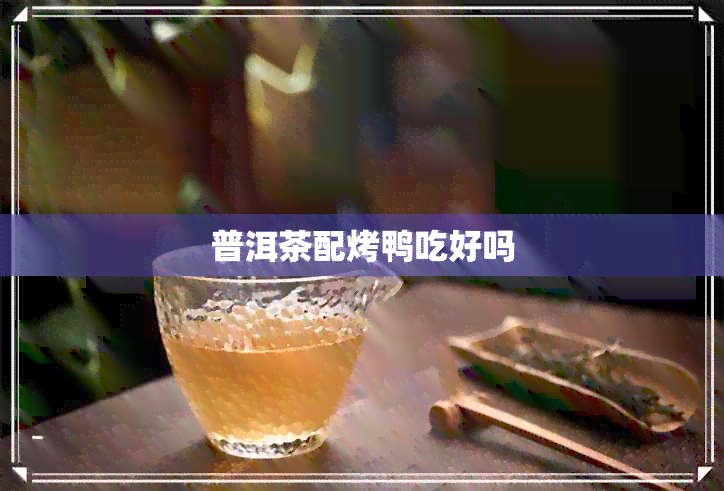 普洱茶配烤鸭吃好吗