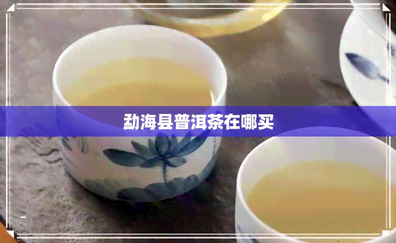 勐海县普洱茶在哪买