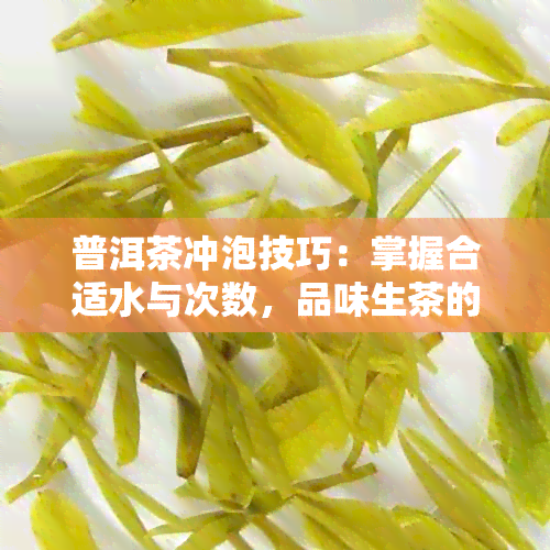 普洱茶冲泡技巧：掌握合适水与次数，品味生茶的独特风味