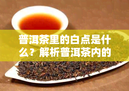 普洱茶里的白点是什么？解析普洱茶内的秘密