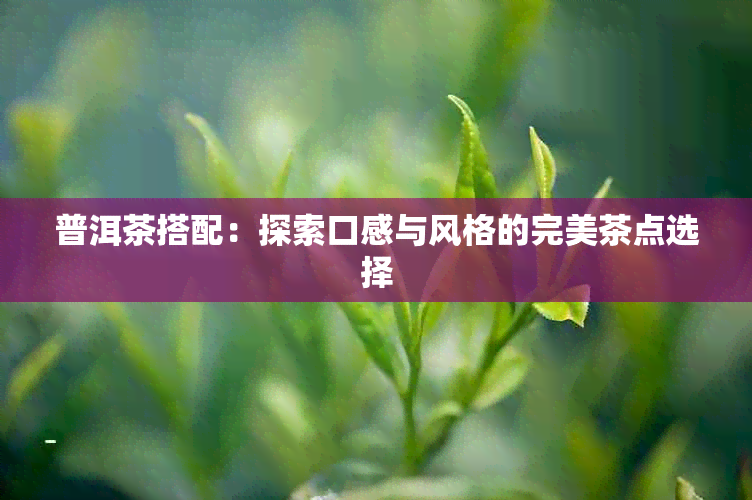 普洱茶搭配：探索口感与风格的完美茶点选择