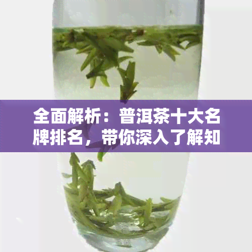 全面解析：普洱茶十大名牌排名，带你深入了解知名普洱茶