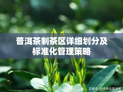 普洱茶制茶区详细划分及标准化管理策略