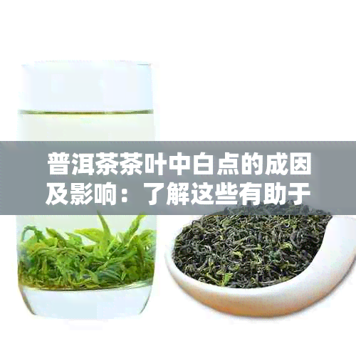 普洱茶茶叶中白点的成因及影响：了解这些有助于购买和品鉴