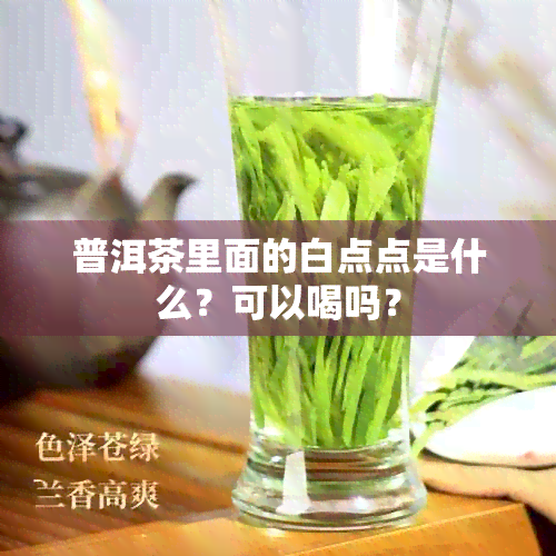 普洱茶里面的白点点是什么？可以喝吗？