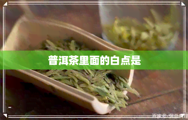 普洱茶里面的白点是