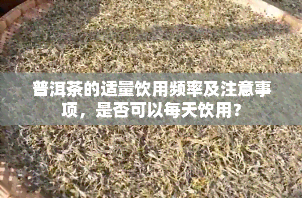 普洱茶的适量饮用频率及注意事项，是否可以每天饮用？