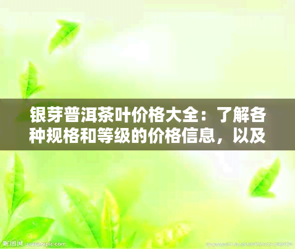 银芽普洱茶叶价格大全：了解各种规格和等级的价格信息，以及购买建议