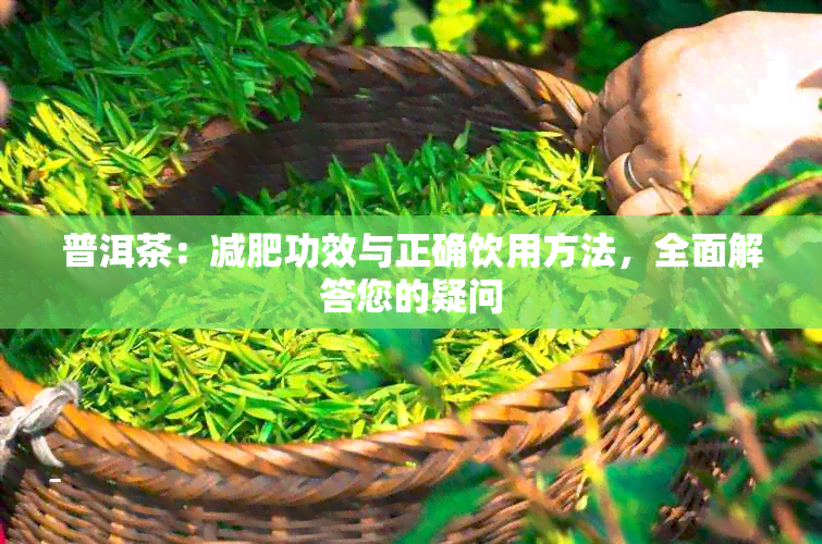 普洱茶：减肥功效与正确饮用方法，全面解答您的疑问