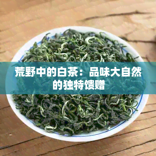 荒野中的白茶：品味大自然的独特馈赠