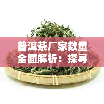 普洱茶厂家数量全面解析：探寻市场上的主要及生产商