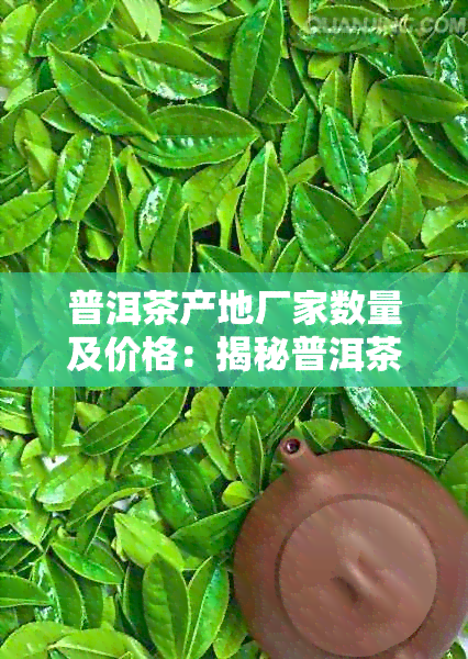 普洱茶产地厂家数量及价格：揭秘普洱茶产地分布与市场行情