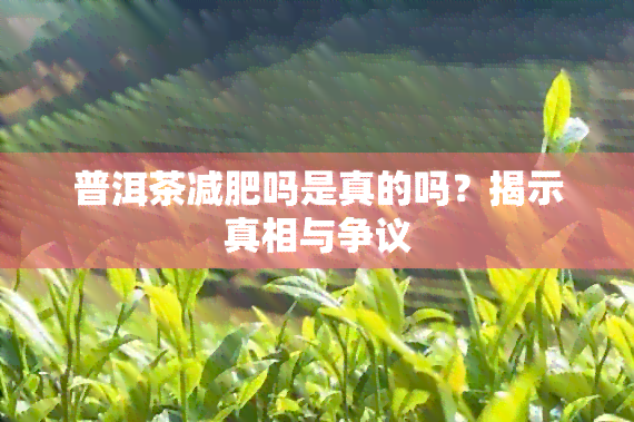 普洱茶减肥吗是真的吗？揭示真相与争议