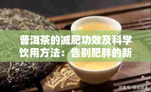 普洱茶的减肥功效及科学饮用方法：告别肥胖的新选择