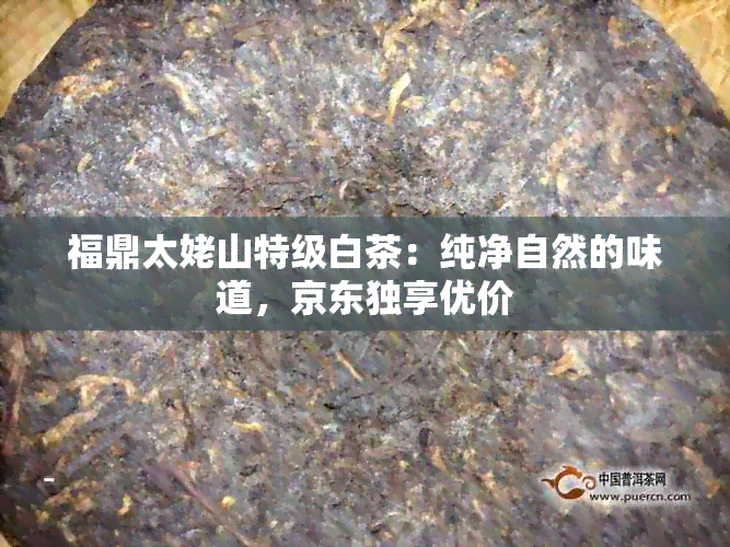 福鼎太姥山特级白茶：纯净自然的味道，京东独享优价